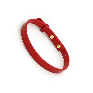 Classic Refined Double-Buckle Leather Day Collar